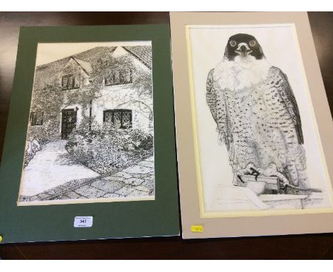 An unframed print depicting a bird of prey and a study of a country cottage