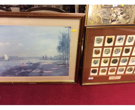 A framed set of Player's cigarette cards depicting various cats and a coloured print
