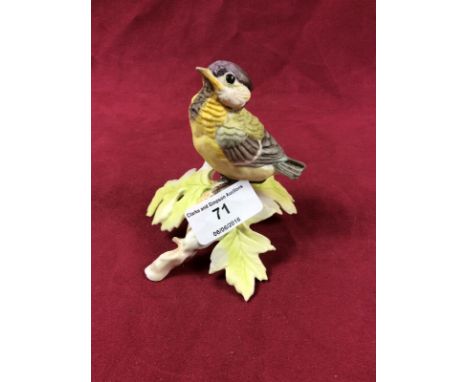 A Royal Worcester Fledgling Great Tit
