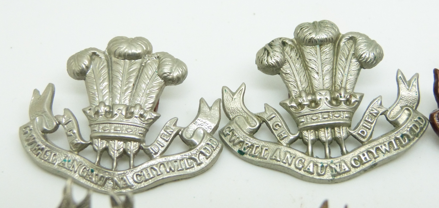 Eleven Welsh Regiment Metal Collar Badges Including Two Pairs Of Bronze