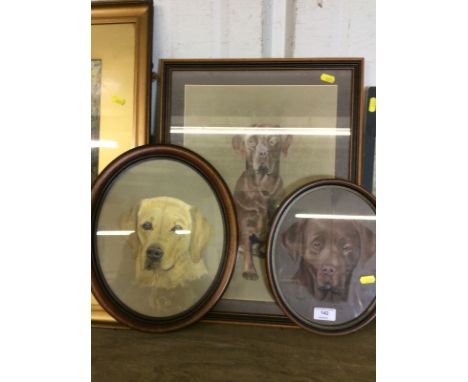 Three various portrait pictures depicting dogs