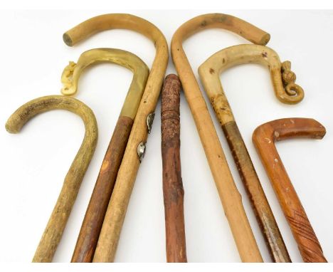 A collection of seven various walking sticks, one with carved horn handle and fox detail, length 63cm, one with carved rootwo