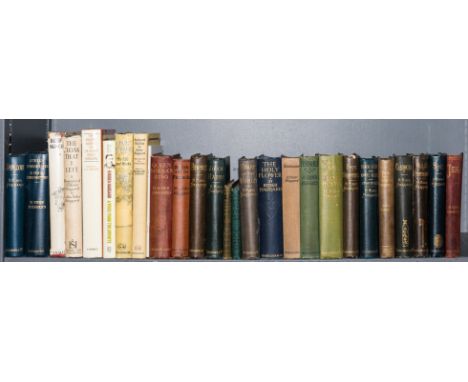 Haggard (H. Rider) She: A History of Adventure, first edition, first issue, with 'Godness' on penultumate line of p.269, half