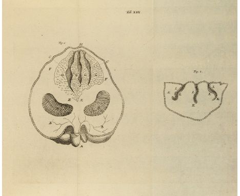 Endocrinology.- Wharton (Thomas) Adenographia: sive glandularum totius corporis descriptio, third edition, woodcut device on 