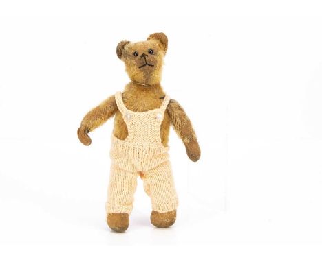 A German or British 1920's Teddy Bear,  with golden mohair, black glass eyes, black stitched nose swivel head, pin jointed (n