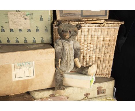 Pentland Hills - an American Teddy Bear 1910-20, with blonde mohair, orange and black glass eyes, pronounced muzzle, red stit