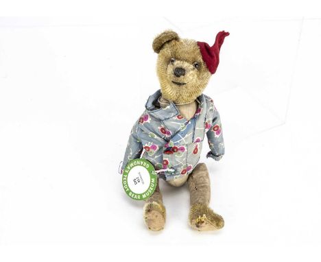Wee Willie - a 1920s dressed teddy bear, probably British with golden mohair head, hands and feet, clear and black glass eyes