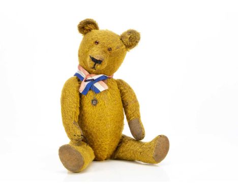 Columbia - a German  1930's Teddy Bear, with golden mohair, orange and black glass spike eyes, pronounced muzzle, slotted in 