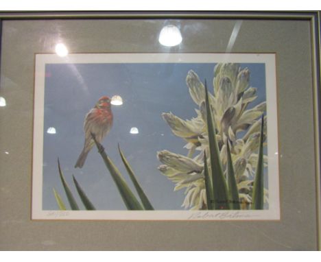 A Christopher Scales watercolour of ruby throat hummingbird, two modern signed prints by Don-li-ledger and a Robert Bateman p