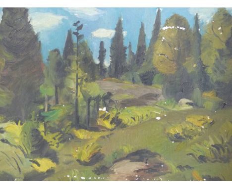  20th-century school. A boulder-strewn hillside with trees. oil on canvas. unsigned. 63 x 48 cm.