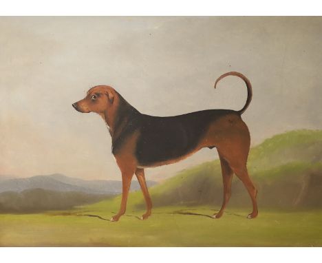Joseph Benstead (19thC), oil on card, Primitive portrait of a hound 'Shonto', signed and dated June 1849 verso, 44 x 60cm