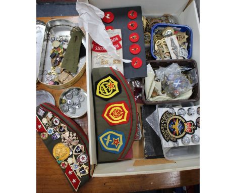 A COLLECTION OF EARLY 20TH CENTURY AND LATER MILITARY BADGES including enamel badges and insignia