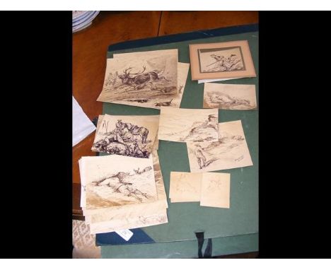 Selection of hunting pictures 
