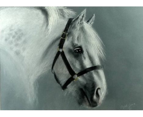 Elizabeth Hones (20th century): sketch of a dapple grey pony, pastel, signed and dated lower right '97, 44 by 59cm.