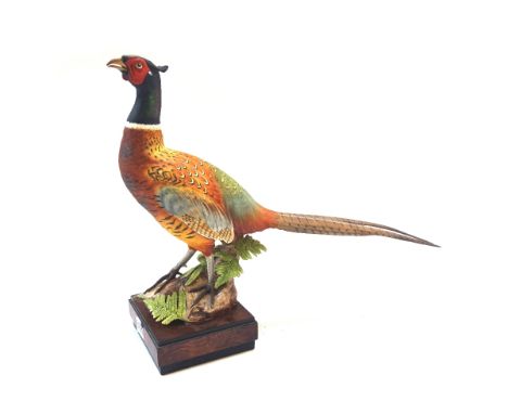 Four Royal Worcester porcelain bird subjects by Ronald Van Ruyckevelt; Ring Necked Pheasant 383, Mallard 436, Ring Necked Phe