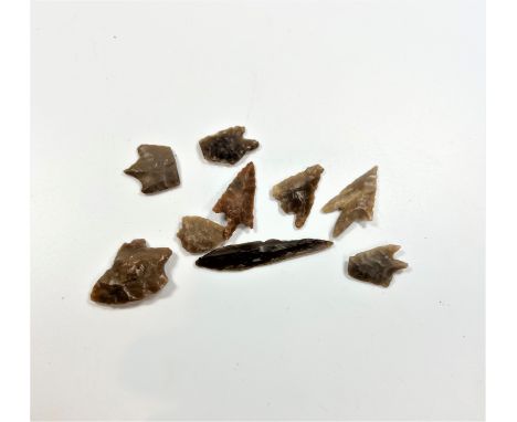 Ten Neolithic Flint Arrow heads. Discovered in Algeria.Ten Neolithic Flint Arrow heads. Discovered in Algeria.