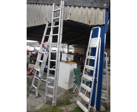 YOUNGMAN 3M EXTENDING LADDER