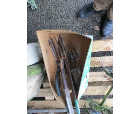 QUANTITY OF VARIOUS SMALL GARDEN TOOLS INCLUDING FORK ETC