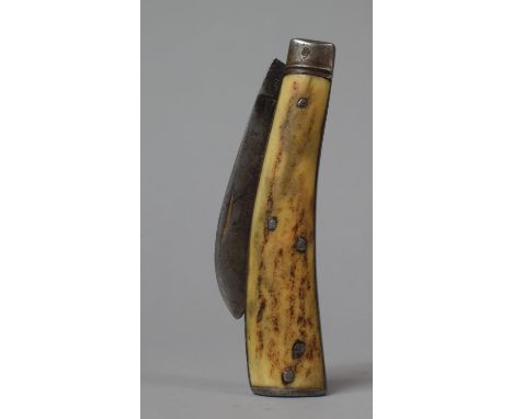 A Bone Handled Folding Pruning Knife by Sutton &amp; Sons 