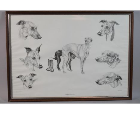 A Framed Print, a Whippet Wonder, Derek E Honden, 58x41cm 
