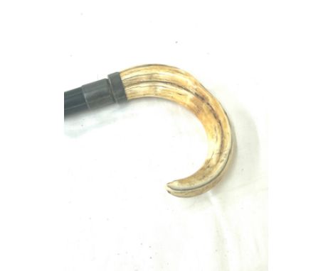 Bores tusk walking stick 