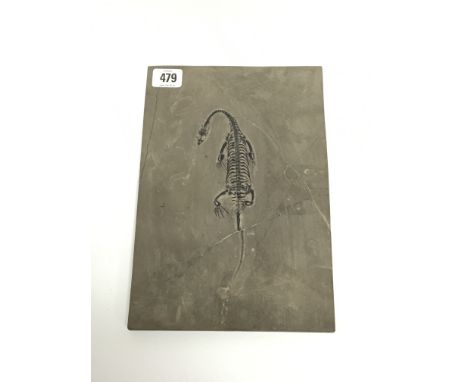 A Keichousaurus fossil set in a stone plaque (27.8cm x 19cm) (Repair to plaque)