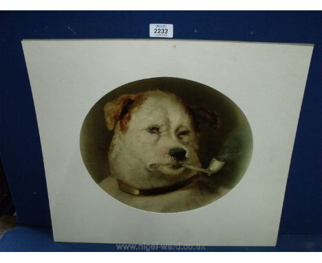 An original chronolithic Pears print 'A Quiet Pip' 1907, after Landseer, some foxing to edges and some creasing, with mount 1
