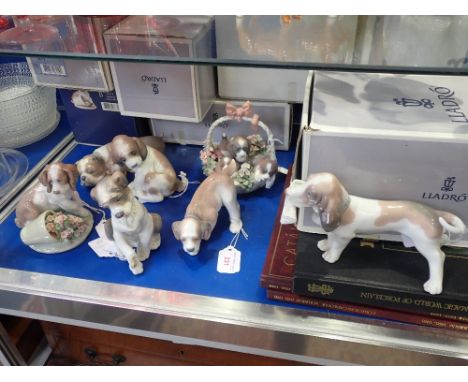 LLADRO; A COLLECTION OF DOG STUDIES (7) (all boxed)
