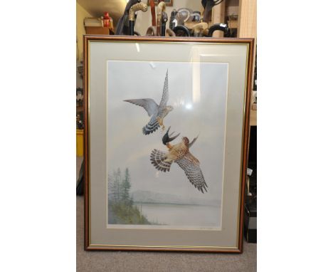 A large framed print showing birds of prey in flight, signed R. David Digby