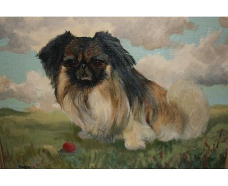 David Vivians, signed oil, portrait of a Pekinese in a landscape, 14ins x 17insLate 20th Century 