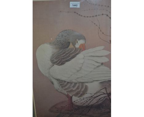 Charles F. Tunnicliffe, signed print, ornithilogical study, with publishers blind stamp, 24ins x 17.5ins 