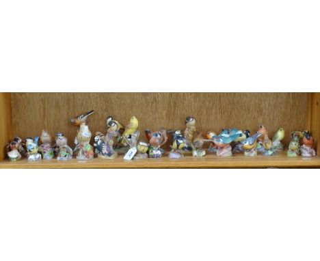 A large collection of Royal Worcester bird ornaments 