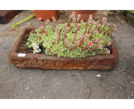 A plant trough and contents of plants