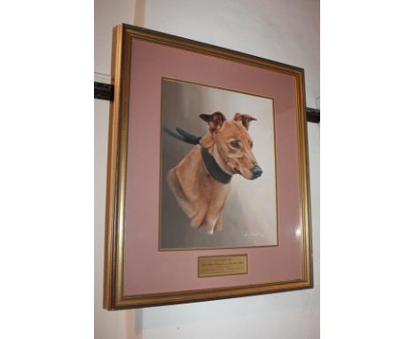 Vic Granger (20th century), portrait of a racing greyhound, 'Deerpark Jim, Open Race Champion of the Year 1992', gouache, sig