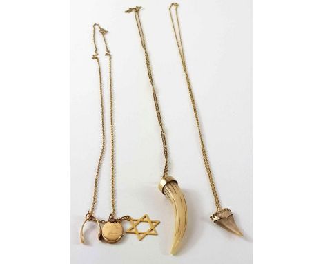 A 9ct gold locket and horseshoe pendant, 3.69g gross; a Star of David pendant marked '375', two chains marked '9c', 6.4g gros