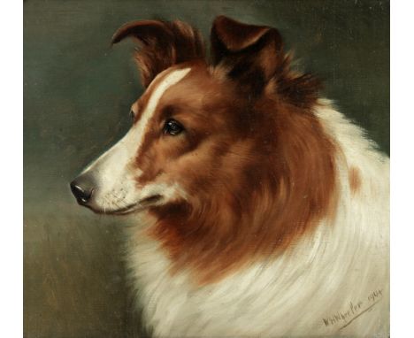 Walter Herbert Wheeler (British, 1878-1960)Portrait of a collie signed and dated 'W.HWheeler 1904' (lower right)oil on canvas