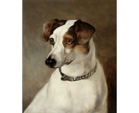 English School, 19th centuryPortrait of a Jack Russell oil on canvas 33.7 x 28cm (13 1/4 x 11in).For further information on t