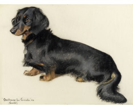 English school, 20th centuryPortrait of a dachshund inscribed 'Oasthouse La Taviata.P.B./(Gretel)' (lower left)pastel 38.1 x 