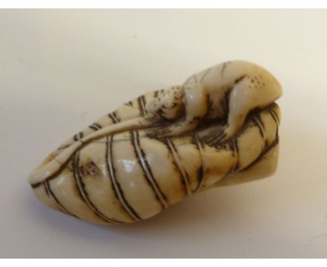 JAPANESE MEIJI PERIOD CARVED IVORY NETSUKE, modelled as a toad on a gourd, 2 1/4" x 1 1/4" (5.7cm x 3.2cm)