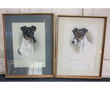 Marjorie Cox (1915-2003), portrait of a terrier dog, Pittlea Centaurus (Tory), and another Ch Pittlea Carousel (Vicky), paste