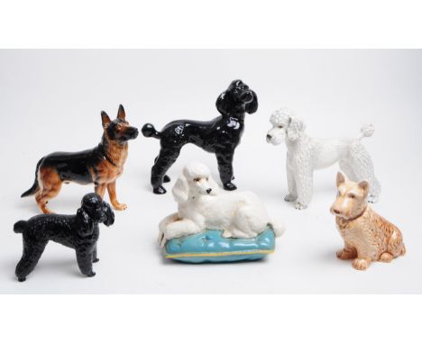 Collection of 20th century porcelain dog figurines, comprised of a Beswick Poodle dog sitting on a blue cushion, a Sylvac Sco