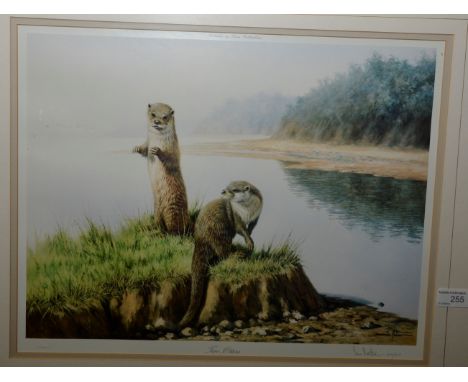 Framed limited edition print entitled 'Two Otters' by Ian Nathan signed in pencil by the artist 404/850