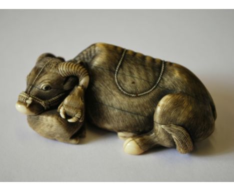 A stained ivory netsuke with large himotoshi, carved as a recumbent water buffalo beside its calf, 6.5cm long, inscribed Tomo