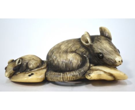 A stained ivory netsuke, carved as a large rat crouching beside a juvenile, unsigned, 7cm long, 19th Century.Provenance: The 