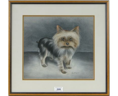 David Shepherd,
coloured pastels, portrait of a dog, signed, 10.5" x 12", framed.