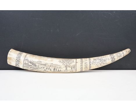 Reproduction scrimshaw walrus tusk intricately etched and inscribed with Captain J.O Norton, 45cm length 