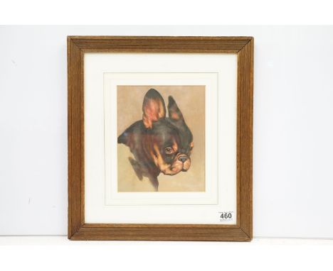 Portrait study of a French bulldog, oil painting, framed, 24.5 x 20cm, framed and glazed 