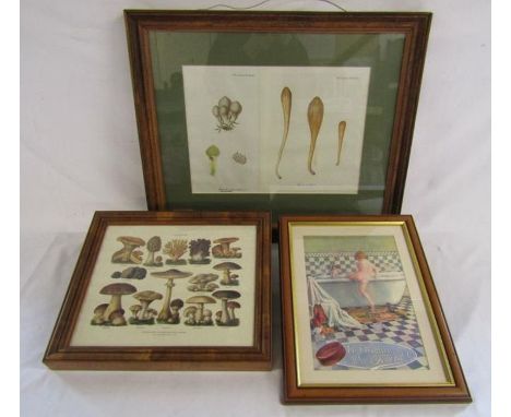 2 fungi prints - one double sided and a Pear's soap print