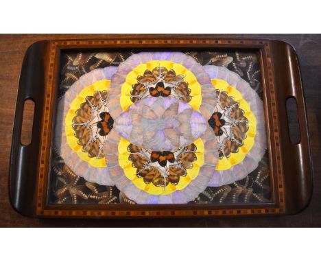 Butterfly Wing Tray. Vintage Brazilian Butterfly Wing with Marquetry Inlaid Hardwood Tray (medium size). Measures approx 21 x