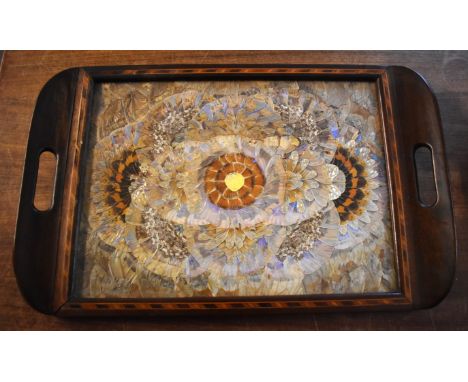 Butterfly Wing Tray. Vintage Brazilian Butterfly Wing with Marquetry Inlaid Hardwood Tray (medium size). Measures approx 21 x
